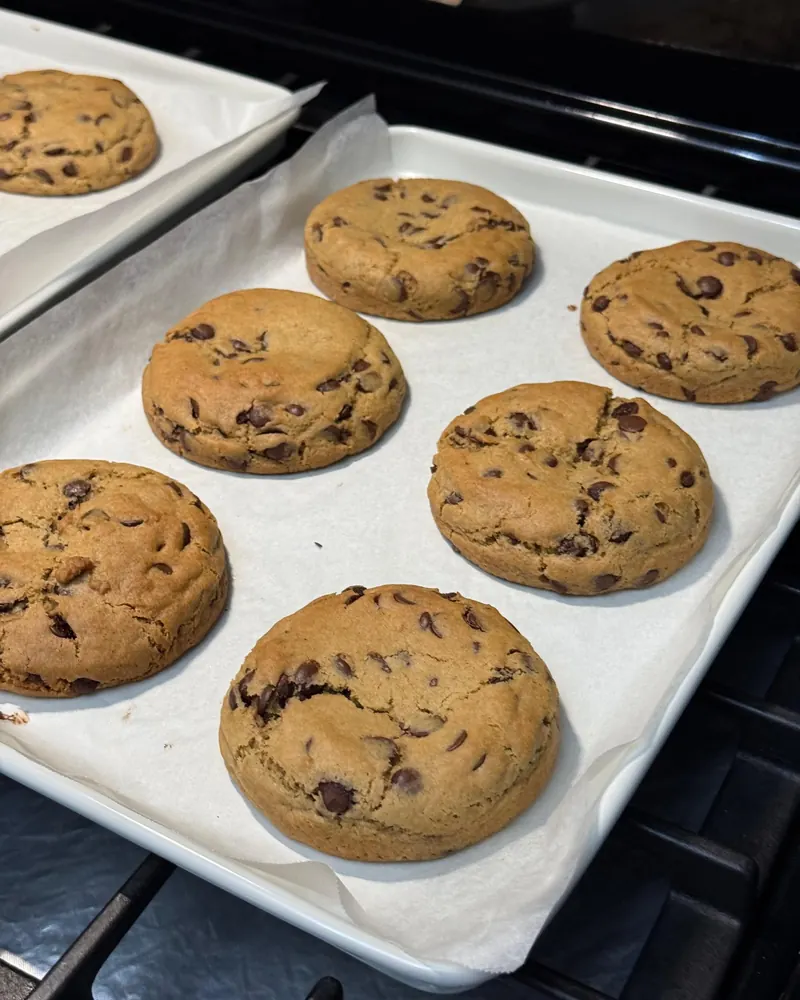 A tray of freshly baked Classic Choc Chip cookies