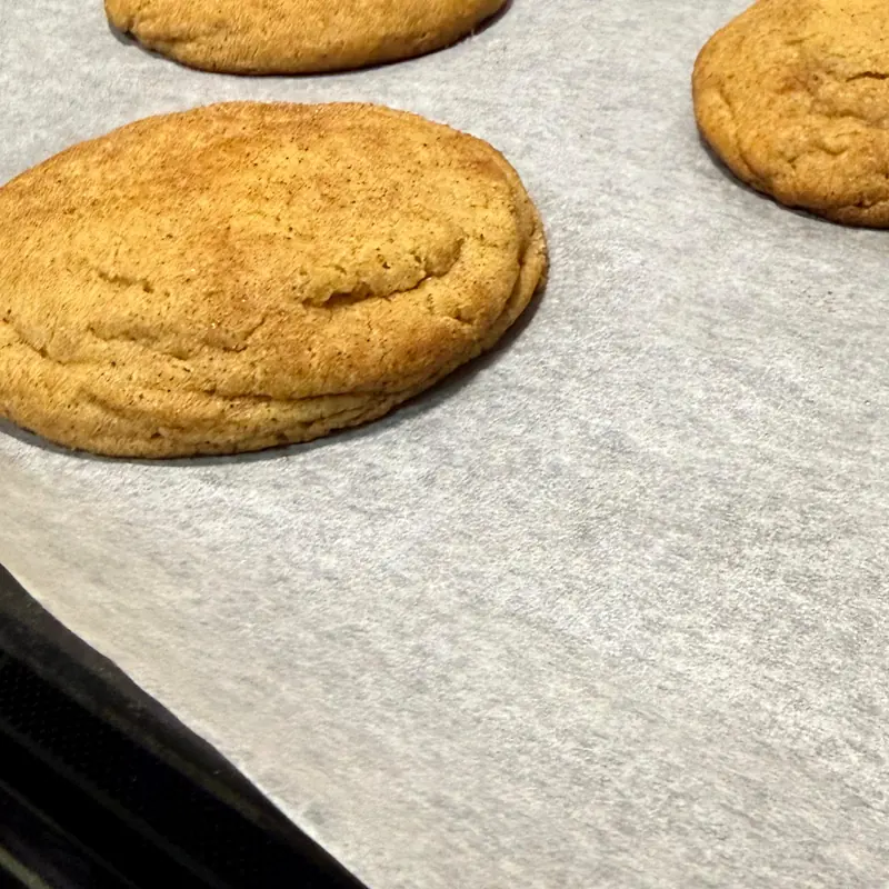 Snickerdoodle